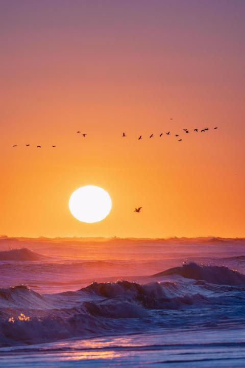 Vertical shot of a stunning sunset over the sea wa 2023 11 27 05 31 25 utc