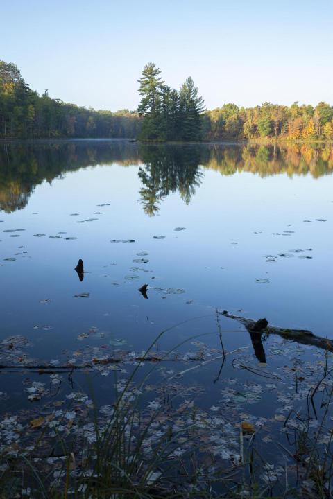 Calm lake with an island and trees in autumn color 2023 11 27 05 00 17 utc