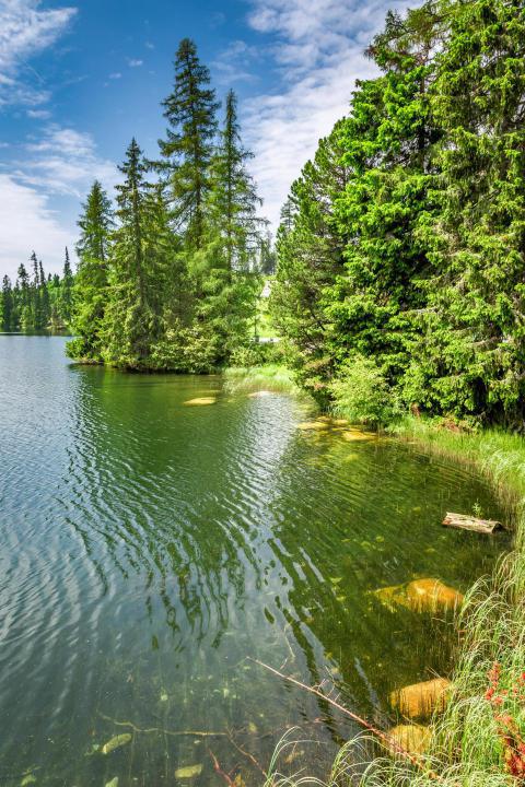 Green strbske pleso lake in thetatra mountains sl 2023 11 27 04 49 13 utc