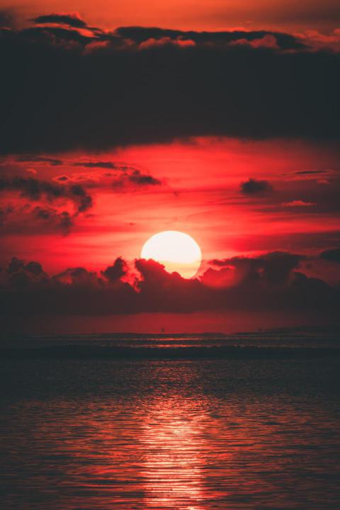 Phone Wallpapers (10)