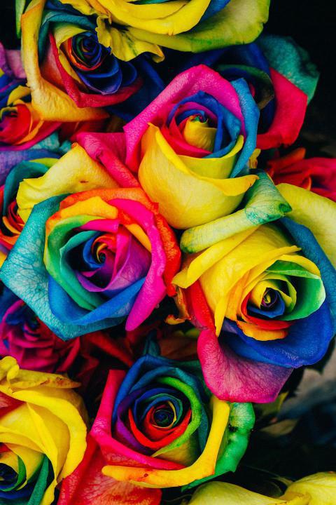 Phone Wallpapers (122)