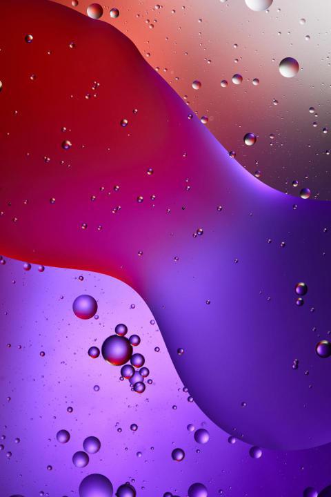 Beautiful purple and red color abstract texture fr 2024 11 14 12 53 23 utc