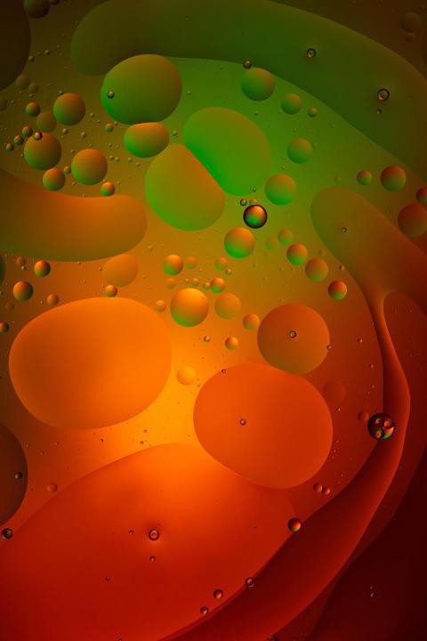 Abstract green and red color background from mixed 2024 11 15 18 58 38 utc