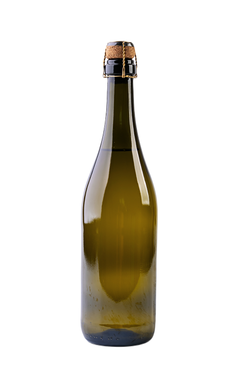 Champagne bottle isolated on white background 2023 11 27 05 04 51 utc