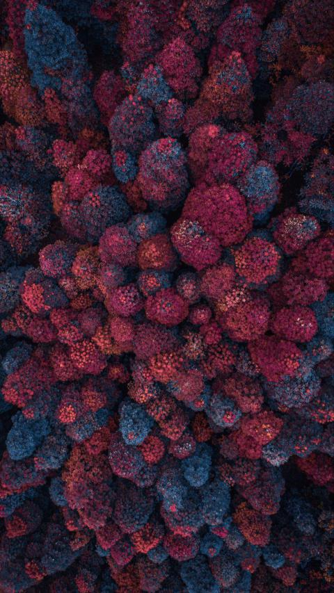 Phone Wallpapers (85)