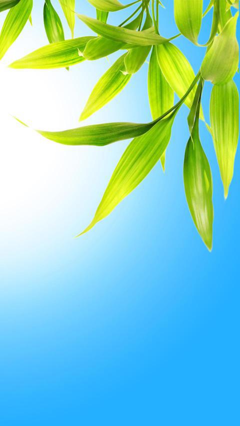 Phone Wallpapers (117)