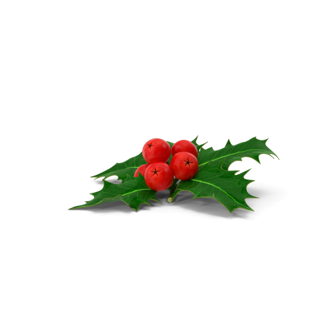 Christmas Decoration Sprig Holly H03 2k