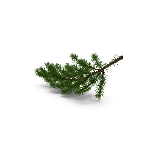 Christmas Fir Branch H03 2k