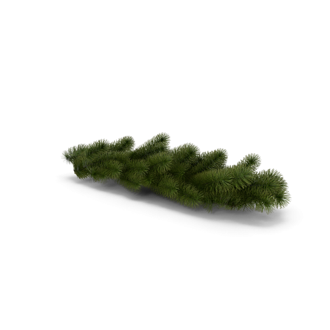Christmas Tree Branch H03 2k