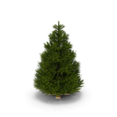Christmas tree H03 2k (12)