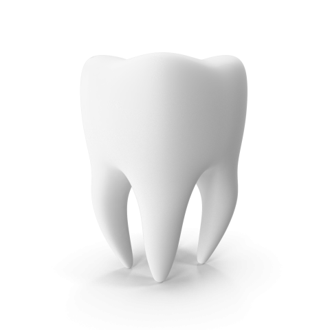 Tooth H03 2k