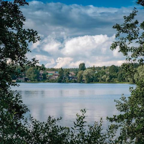Beautiful forest lake in russia 2024 11 29 01 16 33 utc