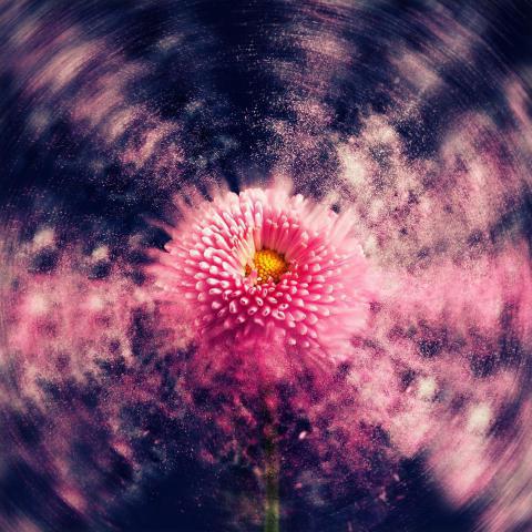 Phone Wallpapers (46)