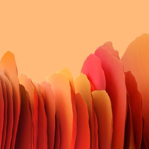 Phone Wallpapers (161)