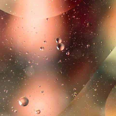 Oil drops on water surface 2024 10 14 03 40 07 utc