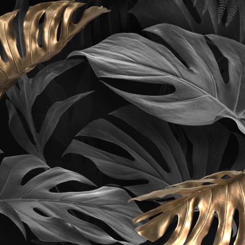 Gold and black monstera deliciosa leaves 2023 11 27 04 50 43 utc