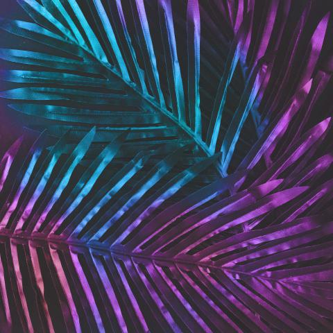 Creative tropic purple leaves layout supernatural 2024 09 13 01 27 19 utc