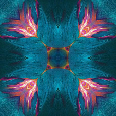 Abstract kaleidoscope or endless pattern 2025 01 08 23 12 18 utc