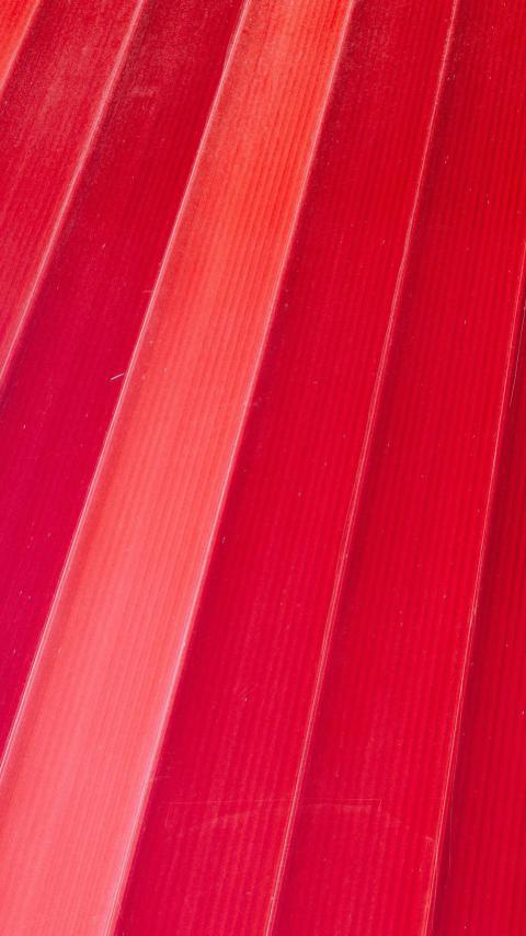 Phone Wallpapers (108)